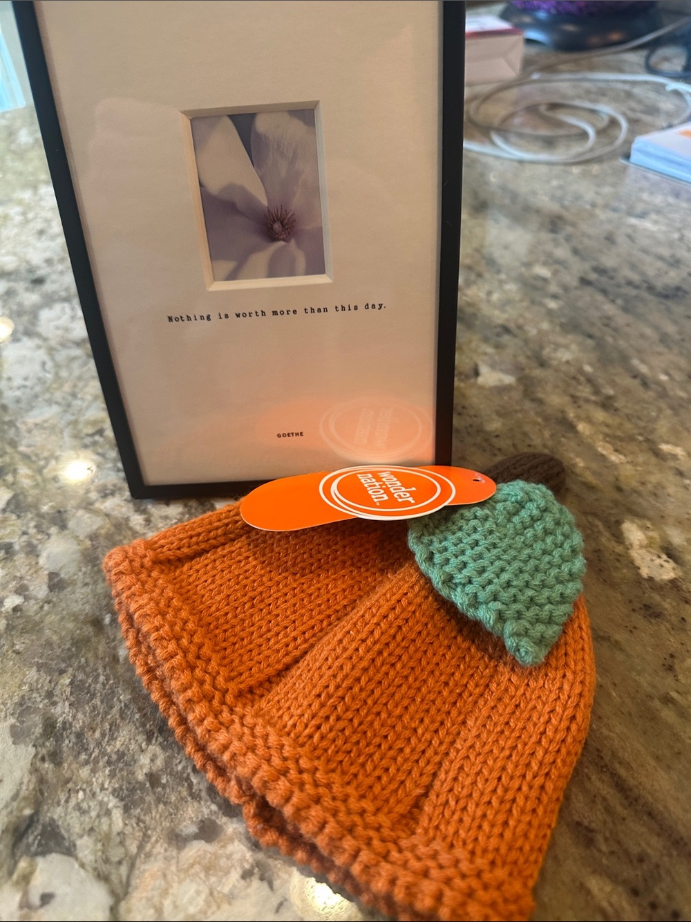 Newborn Pumpkin Knit Beanie Hat and Framed Art Baby Shower Gift